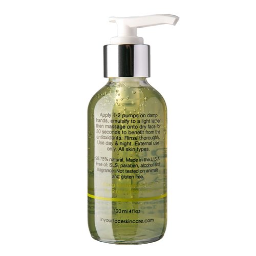 In Your Face MOISTURIZING WASH | Regenerating, pH-balancing Facial Cleanser | Seaweed, Green Tea, Chlorophyll & Antioxidant-infused | 4 oz.