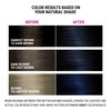 Better Natured 1B Blue Black Permanent Hair Color Dye Kit (Color, Developer, Barrier Cream, Gloves, Cleaning Wipe, Shampoo and Conditioner) Radiant Color that Lasts up to 8 Weeks