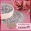12000PCS 2mm Resin Rhinestones Bulk for Crafting (Clear), Flatback Bedazzling Crystals for Crafts DIY Nail Decoration, Gems Charms for Tumbler Shoes Clothing Fabric with Pickup Pen and Tweezers