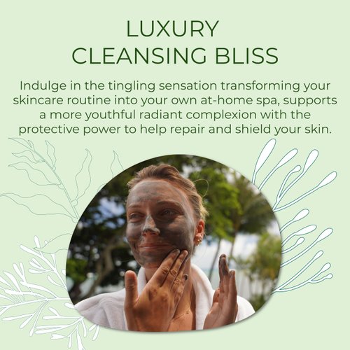 Sea-el Sea Kelp Mud Face Mask Skincare Activated Charcoal & Bentonite Clay Detox & Repair Facial Mask Calming Hydration Boost - Turmeric & Aloe Daily Glow Essentials for Women & Men - 2oz