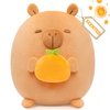 Caaaat Scented Stuffed Plush Toy, Cute Capybara Stuffed Animal with 2 Fresh Orange Scented Microbeads, Squishy Plushies Hugging Plush Decor Pillow for Boys & Girls