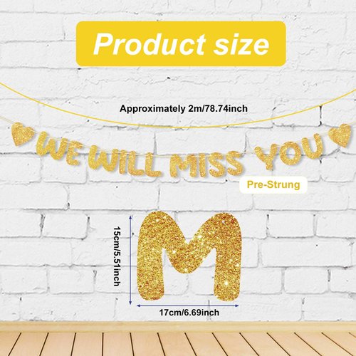 We Will Miss You Banner, Pre-Strung No DIY Glitter Bunting Banner Going Away Party Decorations for Office Work Farewell Goodbye Retirement Graduation Party Decorations Supplies (Gold)