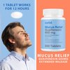 Curist Guaifenesin 600 mg Extended Release Tablets (200 Dye-Free Tablets) - Expectorant Mucus Relief, Generic Guaifenesin 600 mg, (Bulk Pack)