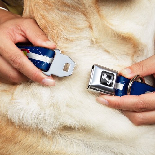 Dog Collar Seatbelt Buckle Colorado Trout Flag Snowy Mountains Blues White Red Yellow 9 to 15 Inches 1.0 Inch Wide