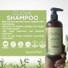 Cliove Clean and Pure Clarifying Shampoo | Deep Cleansing Shampoo | Purifying Sulfate Free Detox Shampoo for Curly, Oily & Damaged Hair | 16oz