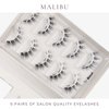 Sicurl The Malibu Lashes, Natural Fluffy Lightweight Eyelashes, False Eyelashes Everyday Use, Individual Lashes, Easy to Apply, No Lash Glue Included (8-14mm), 5 Pairs Eyelashes