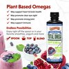 Barlean's Liquid Flaxseed, Borage & Algae Oils Omega 3 Supplement, Pomegranate Blueberry Flavor, Vegan EPA & DHA from Algal Oil, Flax Oil and Borage Seed Oil with 3,980 mg of Omega-3-6-9, 16 oz