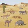 Desert Wild Animal Model Figures Playsets 8 PCS Cactus Armadillo Camel Fennec Fox Snake Meerkat Lynx Wolf Figurines Decoration Set Toys for Boys Girls Kids