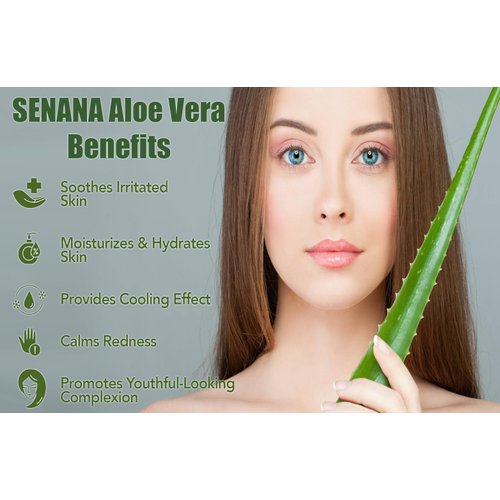 Aloe Infusion Body & Face Moisturizer -for Dry Skin, Anti Wrinkle, Soothing Aloe Face Moisturizer, Multipurpose, Hydrating Aloe Gel, 7.44 oz Lotion for Men & Women (3 PACKS)