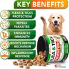 Flea and Tick Prevention for Dogs Chews - Natural Dog Flea and & Tick Control - Advanced Oral Pills Supplement Treatment for All Breeds & Size - Vet Formulated - Soft Chewables - Made in USA
