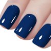 Vishine Gelpolish Lacquer Shiny Color Soak Off UV LED Gel Nail Polish Professional Manicure Royal Blue(1520)