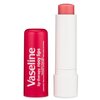 Vaseline Lip Therapy Rosy Lips - Hydrating Lip Balm Pack, Vaseline Stick, Lip Moisturizer for Dry Lips, 0.16 Oz Each (Pack of 12)