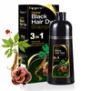 Dapoprren Instant Black Hair Shampoo, 3 in 1 Hair Dye Shampoo for Gray Hair, Natural Black Shampoo-Hair Nourishing & Darkening for Men Women - 17Fl Oz