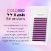 Y Lashes Extensions Colored YY Lashes Premade Fans Purple Eyelash Extensions D Curl 0.07mm 8-15mm Mixed Tray Y Shape Easy Fan Volume Lashes Supplies (YY-0.07-D,Light Purple)