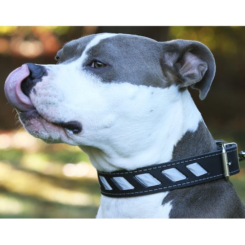 Dogs My Love Genuine Leather Reflective Dog Collar 26"x1.5" Black Fits 18"-23" Neck