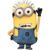 Anagram Descpicable Me Minions 2nd Birthday Party Supplies 8 pc Balloon Bouquet Decorations