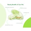 Just Organic Jade Roller & Gua Sha Set Facial Beauty Tools, Face Roller Skin Massager for Face, Neck and Eye Treatment Ice Roller for Skin Care Routine & Puffiness Relief (Green)