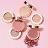 OULAC Blush Makeup Powder Mauve| Natural Matte Blush Cool Tone Skin Light Meidum | Buildable & Light Weight Smooth| Cruelty-Free Blush Vegan | 4.8g 11 Fatal Seduction
