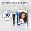 Clairol Permanent Root Touch-Up, 003 Black [pack of 2] ,1 ea