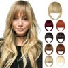 Fanguilar Bangs Hair Clip in Bangs Hair Extensions Hair French Bangs Hair Clip on Bangs Hair Fake Bangs Clip in With Temples Hairpieces for Women Natural for Daily Wear