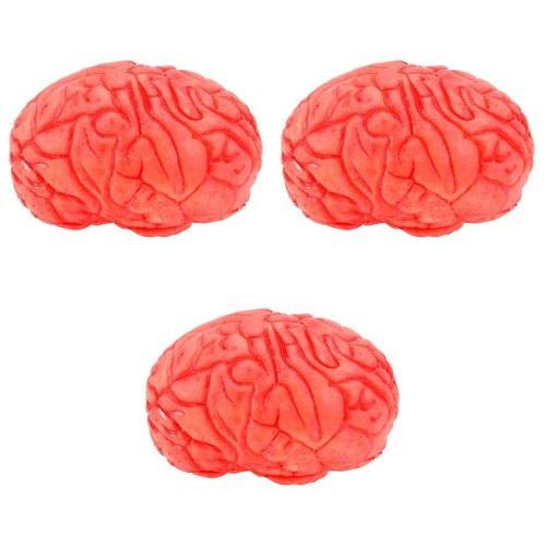 SEWACC 3pcs Brain Plastic Halloween Horror Haunted House Prop Scary Fake Organ Human Brain Broken Body Parts Vampire Zombie Party Decorations