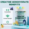 DANEW PRO Creatine Monohydrate Gummies 5000mg for Men & Women, Creatine Monohydrate for Muscle Strength, Muscle Builder, Energy Boost, Pre-Workout Supplement(120 Count)-Blueberry Pineapple Flavor