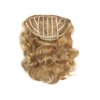Hairdo Wavy Extension, R14 88h Golden Wheat