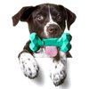MAXERI Ultra-Hard Dog Chew Toy, Nearly Indestructible, Made for Aggressive Chewers (Green)