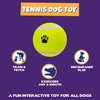 Pet Factory 2-Pack Logical Pet 2.5" Tennis Balls Dog Toy Set - Fluorescent Yellow, Set of 2