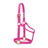 Weaver Leather Original Non-Adjustable Nylon Horse Halter, Average, Diva Pink