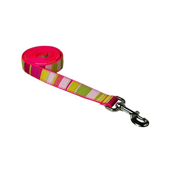 Small Neon Pink/Multi Stripe Dog Leash: 3/4" wide, 4ft length - Made in USA.