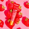 Tree Hut Sugar Lips Lip Butter Strawberry