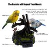 Tipmant Talking Parrots Birds Electronic Pets Office Home Decoration Recording & Playback Function Pen Holders Kids Toys Christmas Birthday Gifts