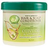 TCB Naturals Hair Scalp Conditioner 10 oz. Jar 3Pack with Free Nail File B004KEQREU, A, 30 Ounce, (Pack of 3)
