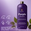 INFINA ESSENTIALS Purple Shampoo for Blondes, Gray, Brassy & Color Treated Hair, Sulfate Free, Enriched with Green Tea & Chamomile & Avocado Oil - Nourishing & Hydrating Blonde Shampoo - 16 fl oz