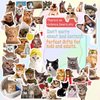 300 Pcs Funny Cat Stickers for Water Bottles| Kawaii Stickers Pack| Cute Cat Waterproof Stickers for Water Bottles Kindle Luggage Guitar Laptop| Vinyl Stickers for Kids Girls Teens Toddlers Adults