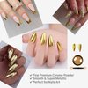 The Nails Baes Chrome Gold Metallic Chrome Powder for nails Nail Art Design (Gold)