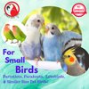 Bonka Bird Toys 2623 Mini Vine Ball Foot Talon Craft Part Small Parrot Cage Toy, Parrotlet, Lovebirds, Finches, and Similar Breed Sizes
