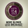 Schwarzkopf Keratin Blonde Hair Dye Almond Blonde 11.1, Hi-Lift Permanent Color, 1 Application - Hair Color Enriched with Keratin, Lightens up to 4 Levels and Protects Hair from Breakage*