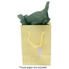 Novel Box Ivory Gift Bags with Handles 10 Pack Small Paper Bags - Shopping Bags Bulk Gift Bags Business, Shopping, Birthday Paper Shopping Bags - Shopping Bags for Groceries