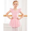 Arshiner Girls Ruffle Sleeve Ballet Dance Dress Tutu Skirted Leotard, 4-5 Years, Ballet Pink