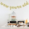 Wow You're Old Banner, 40th 50th Birthday Party Decorations, 60th 70th Sign Backdrop, 80th 90th Supplies (Gold Glitter)