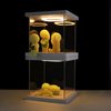 Glow in The Dark Figure Display Case- 2PCS Mini Figures Acrylic Display Cases 4.7x4.7x4.7 Inch with Led Light, Open Design Clear Showcase Stackable Collectibles Display Box for Glowing Figures
