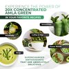 Amla Powder & Decaf Green Tea Superfood Supplement, 20x Ultra Concentrated Amla, Antioxidant Support, Made with Oolong Tea and Indian Gooseberries, Organic, Vegan, Decaf, 30 Servings