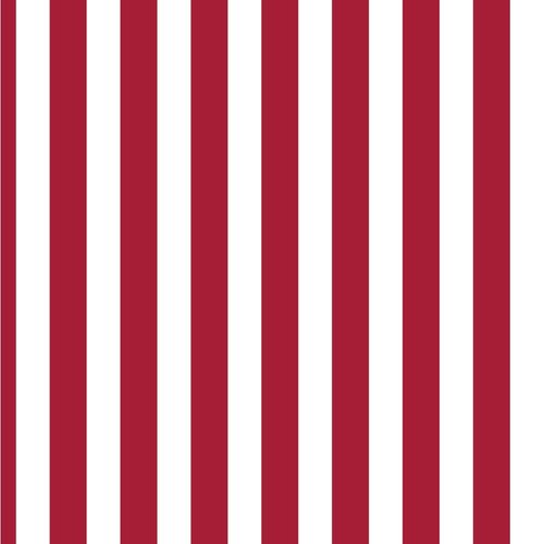 Creative Converting Indiana University Beverage Napkins, 20-Count