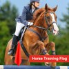 GAITWIN Horse Training Flag Equipment 5 Pcs with 1Pcs Telescopic Flag Pole Lunge Whip Stick for Horsemanship Supplies - Upgrade Stitched Loop Design