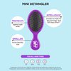 Wet Brush Mini Detangler Hair Brush, Limited Edition Champagne Toast, Prosecco Purple