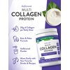 Nature's Truth Multi Collagen Powder | 9 oz | Type I, II, III, V, X | Hydrolyzed Collagen Peptide Protein Powder | Keto and Paleo Friendly | Unflavored | Gluten Free