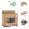 BOTICAKO Montessori Life Cycle Learning - Montessori Life Cycle Animal Figures with Flash Cards, Plastic Insects Monarch Butterfly Kit Caterpillar Toy for Kids, Realistic Animal Figurines (Bee)