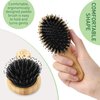 Natural Boar Bristle Hair Brush mini size, portable, easy carry for Women, Men, Kids; Dry and Wet Detangling Hair Brush Gently Enhances Shine, for Fine and Straight, Thick and Curly Hair